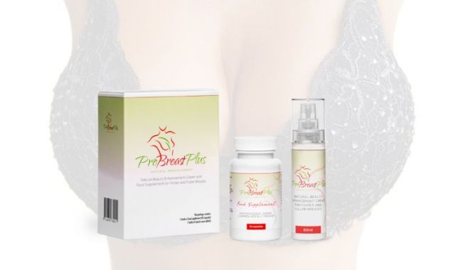 probreast plus creme pillen